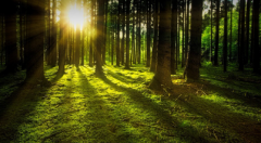 Pozemkové spoločenstvo Spišská Stará Ves - pozvánka na valné zhromaždenie