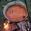 Putovná varecha - prihlasovanie do súťaže vo varení kotlíkového gulášu 