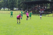 Minifutbal 2013